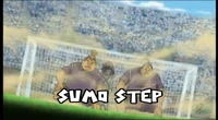 Sumo Step
