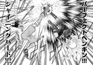 Perfect Penguin and Shining Bird clash in the Inazuma Eleven Ares no Tenbin manga.