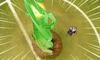 Gigant Vine's preview in Inazuma Eleven GO Galaxy.