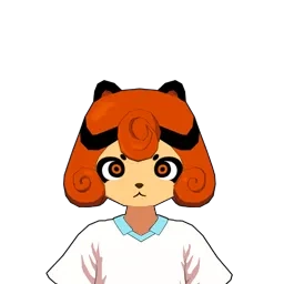 Raccoon | Inazuma Eleven Wiki | Fandom