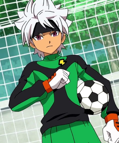 Inazuma Eleven (manga), Inazuma Eleven Wiki