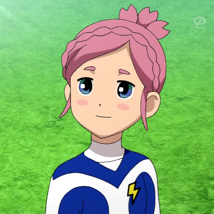 Inazuma Japan (GO), Inazuma Eleven Wiki