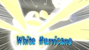 White Hurricane in Inazuma Eleven Eiyuutachi no Victory Road's English localization.