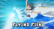 Flying Fish in Inazuma Eleven GO's English localization.