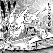 Dragon Crash in chapter 7 of the Inazuma Eleven manga.