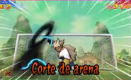 Corte de arena 3DS 5