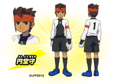 Endou inadan