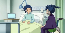 Tsurugi family