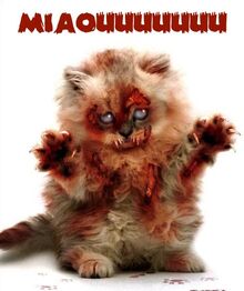 Zombiekitten.jpg