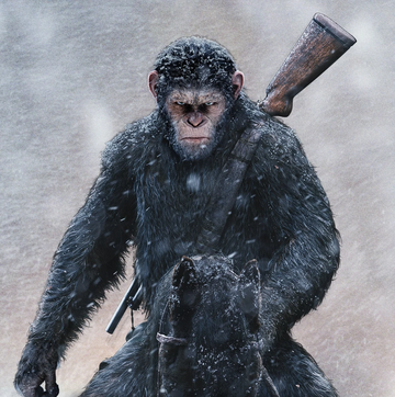 Caesar (Planet of the Apes Reboot) | Inconsistently