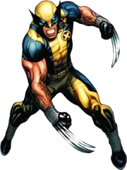 Wolverine (James 'Logan' Howlett)