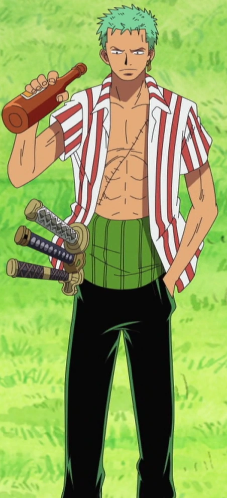 One Piece: I think we missed these details about Zoro