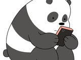 Panda Bear