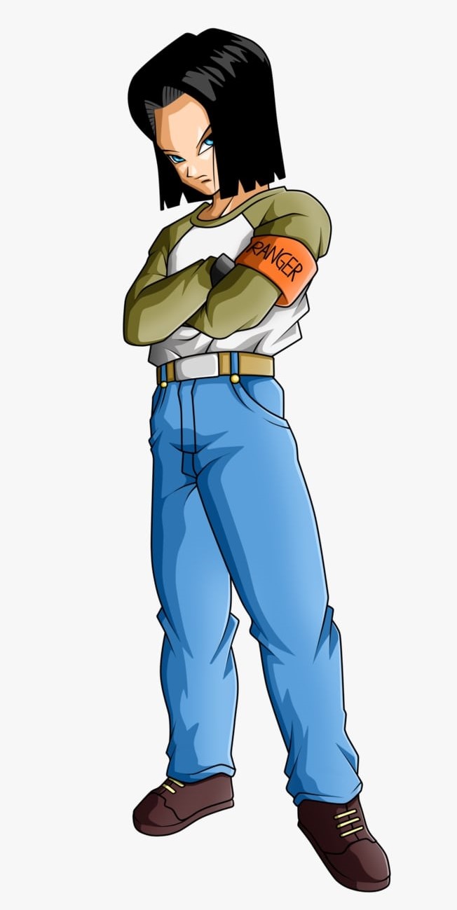 ANDROID 17, Wiki