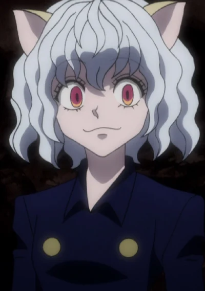 🔥CURIOSIDADES SOBRE PITOU (NEFERPITOU)🔥hunter x hunter 2011