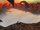 The Fog of Lost Souls