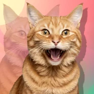 MEOW4EVER