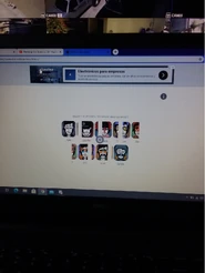 An image of the glitch posted on November 13th, 2020 in 's Discord server by a deleted user.