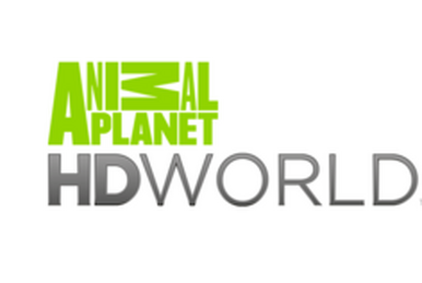What channel is animal planet top