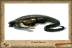 Crocodile concept art