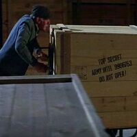 9906753 Indiana Jones Wiki Fandom