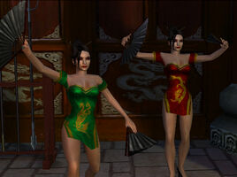 Feng Twins