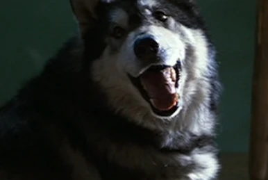 インディ・ジョーンズ アルティメット・ガイド | インディ・ジョーンズ