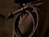 Bullwhip