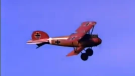 Young Indy Red Albatros