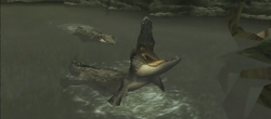 Crocodile SoK PS2 Wii