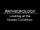 Anthropology - Looking at the Human Condition