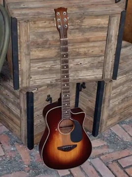 Guitar