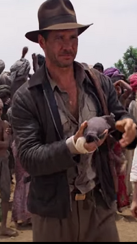 Indiana Jones s jacket Indiana Jones Wiki Fandom
