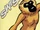 Cheetah (monkey)