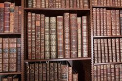 Library-419254 640.jpg