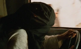 Cairo truck driver