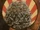 Omphalos