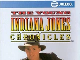 The Young Indiana Jones Chronicles (game)