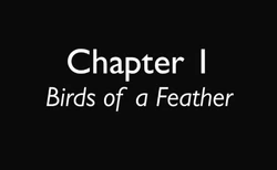 Chapter 1