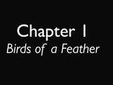 Chapter 1: Birds of a Feather