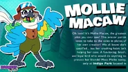 Mollie Macaw's bio.