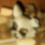 A Patreon teaser image of the Rambley Mask.