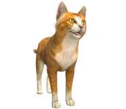 Cat Blender render