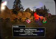 Mollie explains why she crashed.