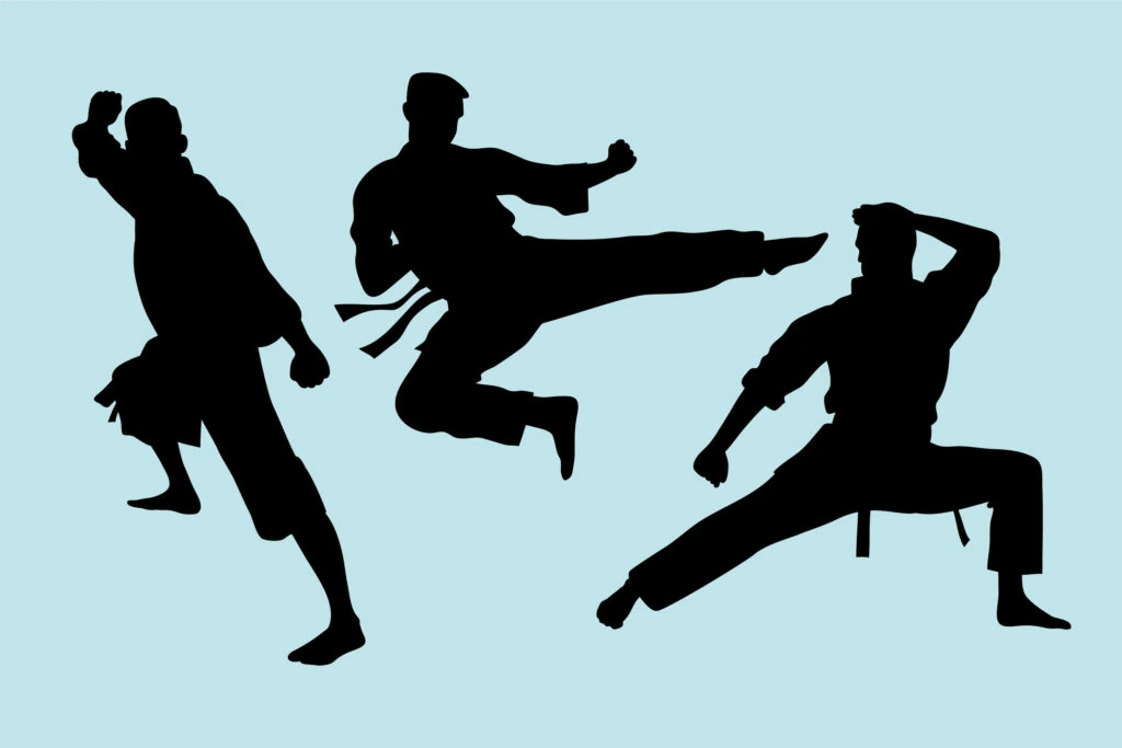 Martial Arts | IndonesianDeathBattle Wiki | Fandom