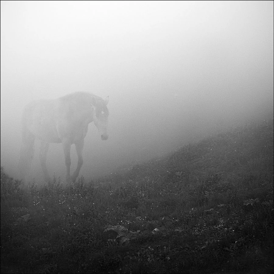 The Pale White Horse Indratera Wiki Fandom