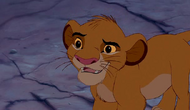 Simba as a cub.