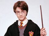 Harry Potter (Harry Potter)