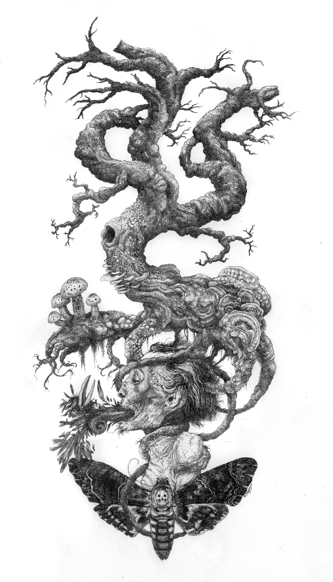 Infinite Mana In The Apocalypse Law of Death | Infinite Mana in the Apocalypse Wiki | Fandom