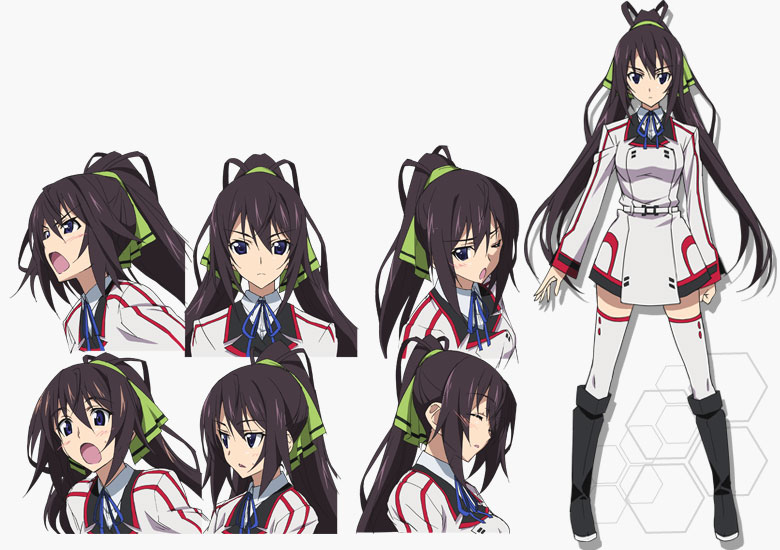 IS (Infinite Stratos) Houki Shinonono